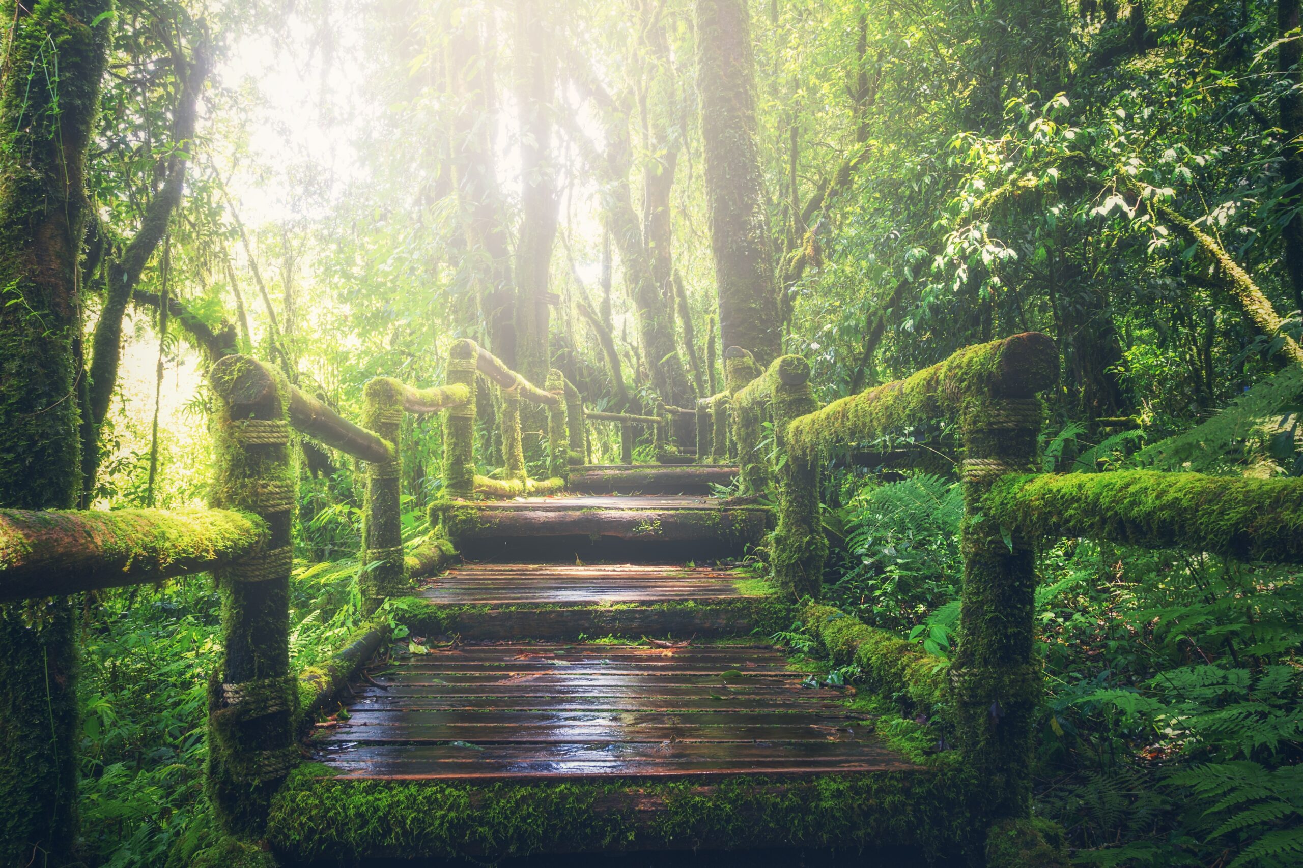 revity road to health